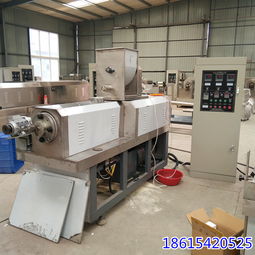 休閑膨化江米條生產(chǎn)機械 掛糖油炸京果設(shè)備的現(xiàn)代化應(yīng)用